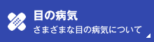 目の病気　さまざまな目の病気について